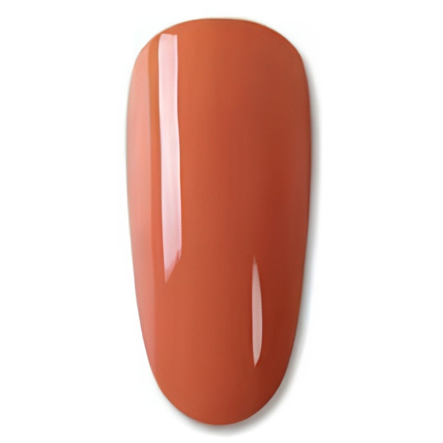 12 - Terracotta