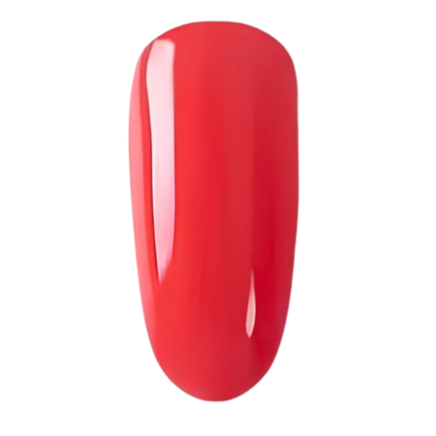 32 - Corail rouge