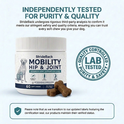 StrideBack™ Daily Hip & Joint Chews for Dogs