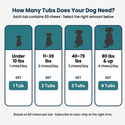 StrideBack™ Daily Hip & Joint Chews for Dogs