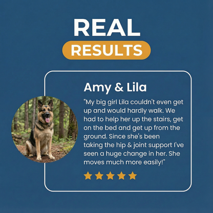 StrideBack™ Daily Hip & Joint Chews for Dogs