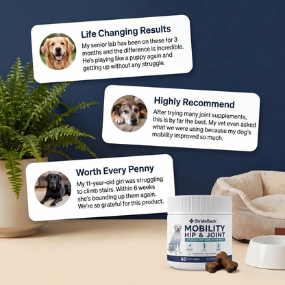 StrideBack™ Daily Hip & Joint Chews for Dogs